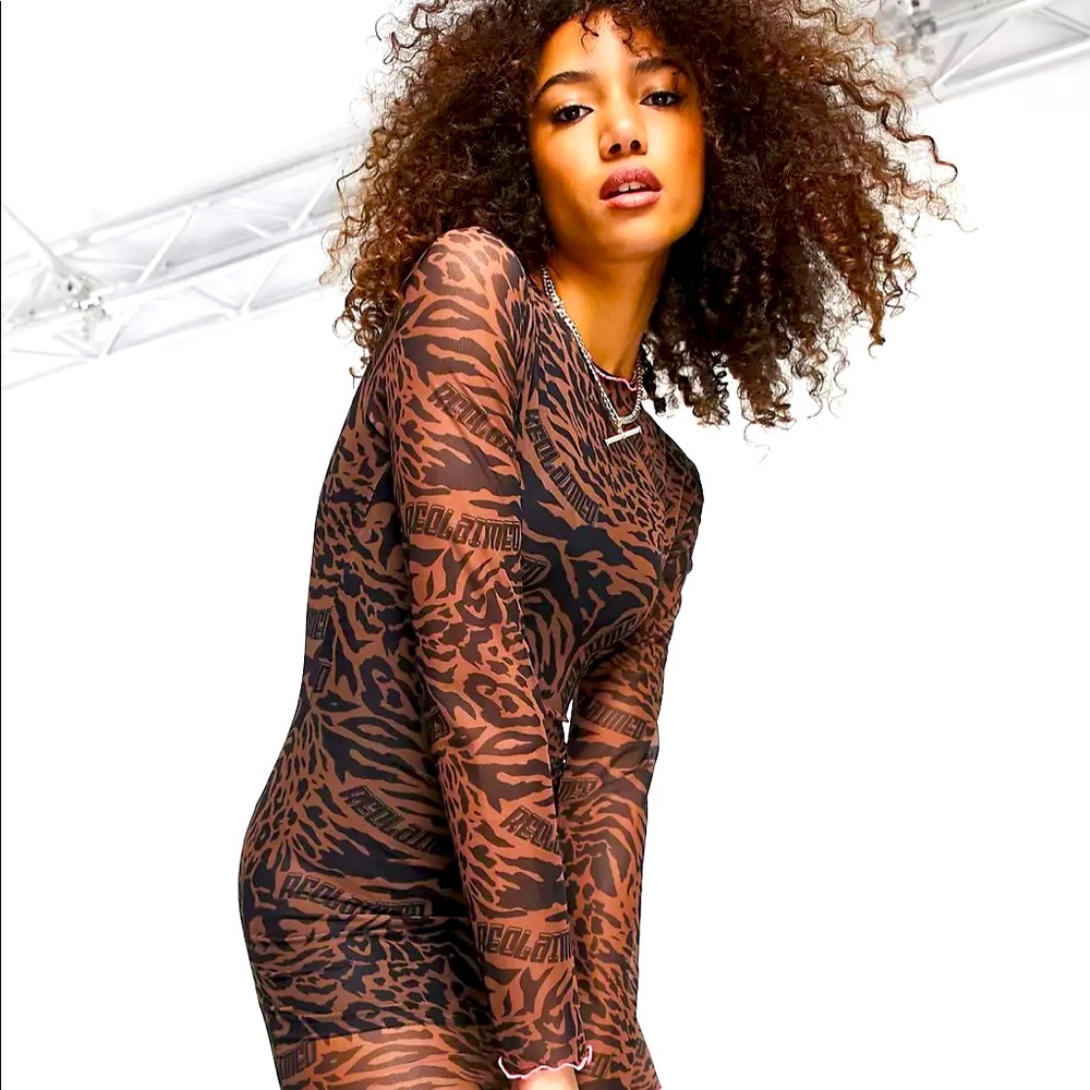 NWTS. Mesh Animal Print Dress 🐅 🦓 - Picture 1 of 8